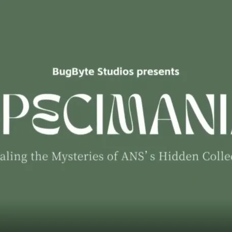Specimania: Bring Hidden Insect...