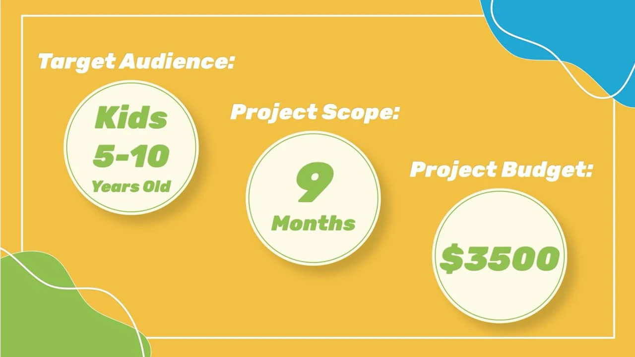 Parameters put on the project, such as target audience, completion deadline, and budget.