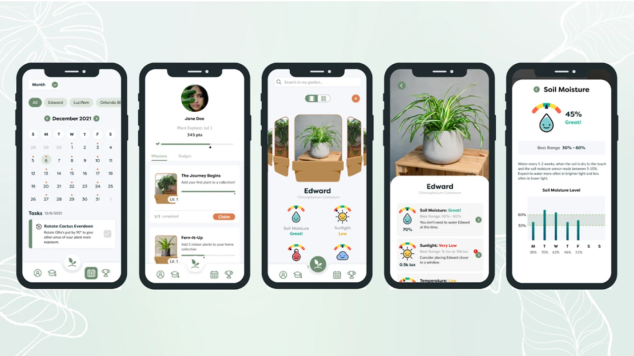 High level prototype of app.