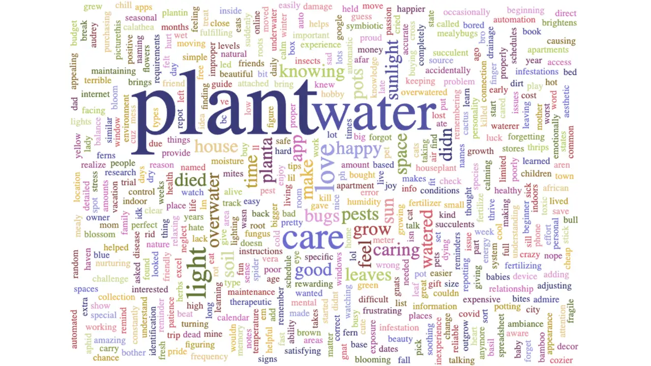 Word cloud containing most used words in user interviews.