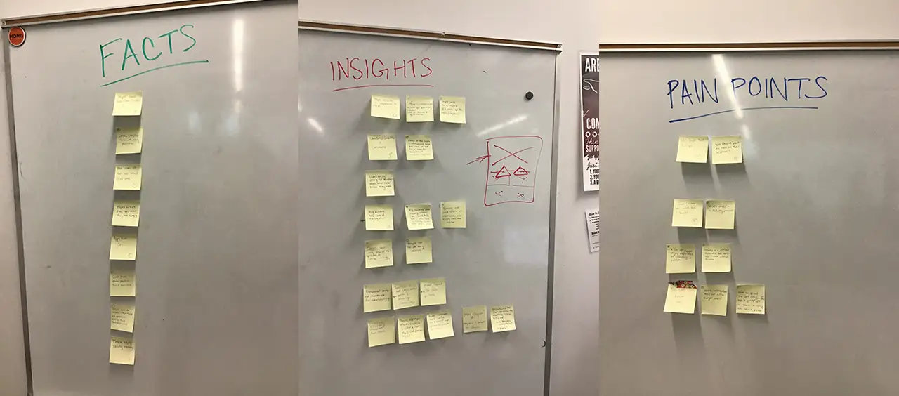 Notes organized under three categories: facts, pain points, and insights.